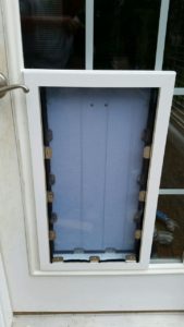 pet door in glass Richmond, Va