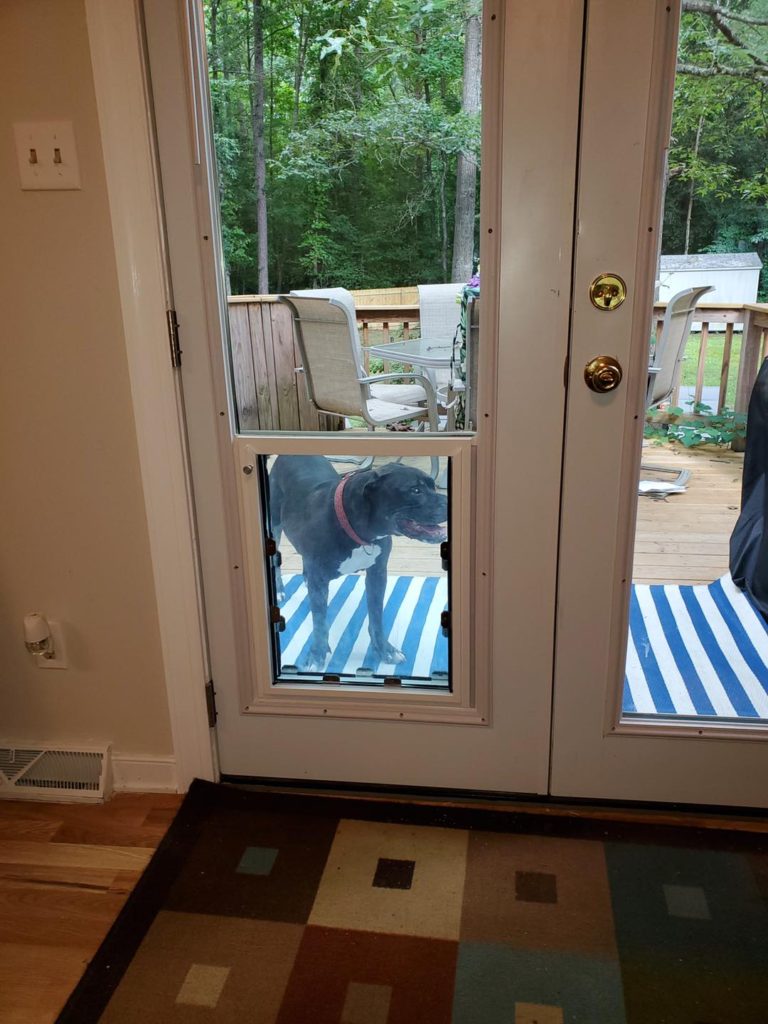 Glass Doggie Doors & Doggie Doors in Glass Richmond, VA