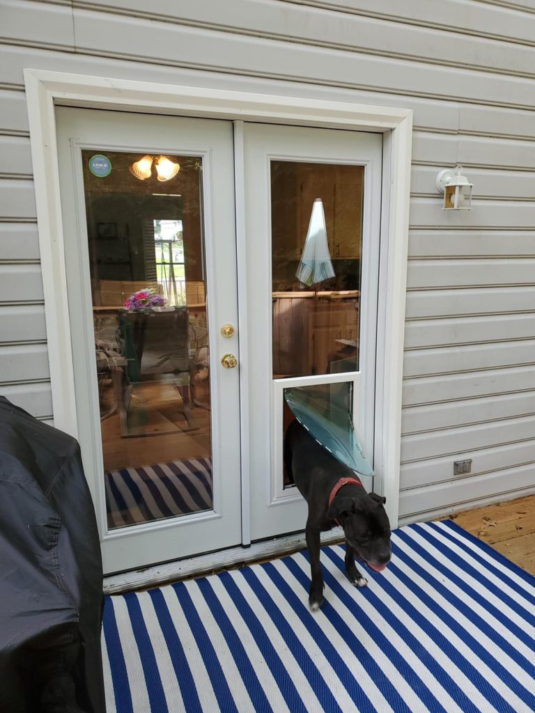 Glass Doggie Doors & Doggie Doors in Glass Richmond, VA