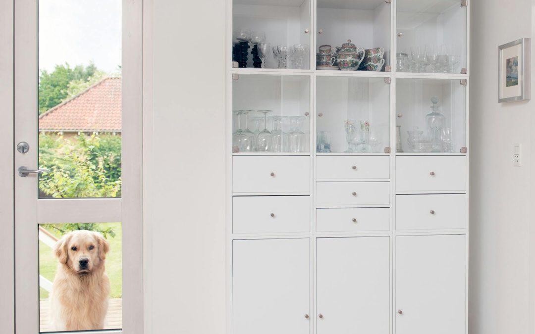 The Complete Guide to Pet Door Installation in Glass Doors
