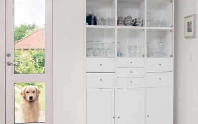 The Complete Guide to Pet Door Installation in Glass Doors