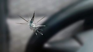 Chipped Windshield