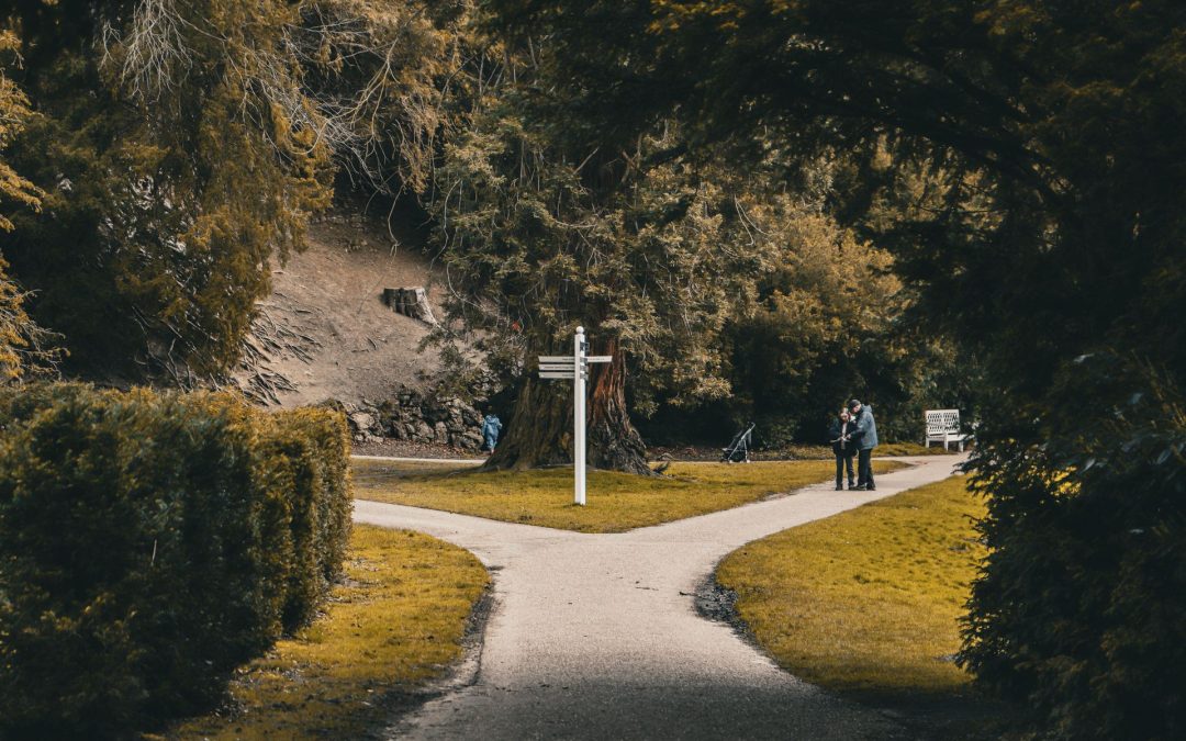 Fork in the Road